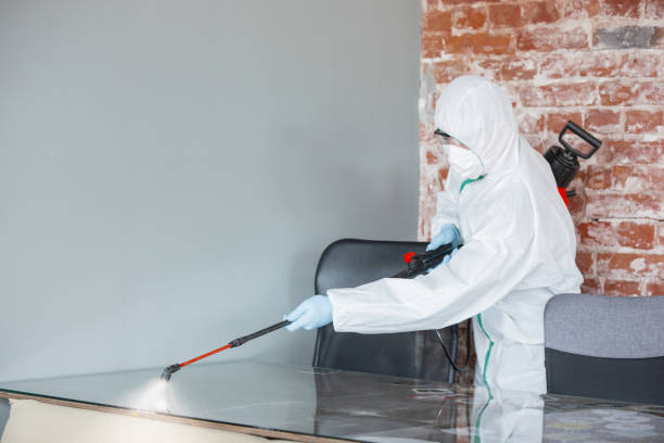 Best Attic Mold Removal  in Halfway, MD